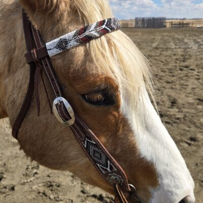 metal ring breast collar and headstall metal ring bridle leather westner horse tack ranch hand (5)