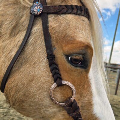 Twisted Iron- Copper Mesa Browband Metal Ring Bridle