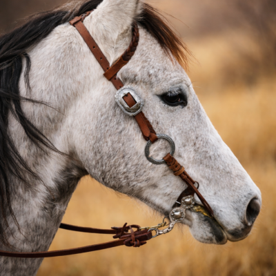 Twisted Iron- Gunmetal Antique Metal Ring One Ear Headstall