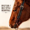 Turquoise Buckstitch - Belt Style Split Ear Headstall
