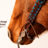 Turquoise Buckstitch - Belt Style Split Ear Headstall - view 5
