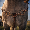 Twisted Iron - Rose Gold Metal Ring Breast Collar with Conchos