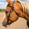 metal ring western bridle headstall ranch hand