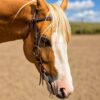 metal ring western bridle headstall ranch hand