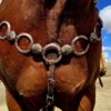 Twisted Iron - Copper Mesa Metal Ring Breast Collar - view 5