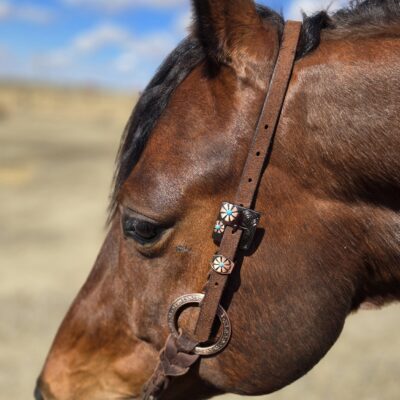 Twisted Iron - Copper Mesa One Ear Headstall with Rose Gold Metal Rings - view 3