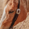 Rough Rider One Ear Headstall - view 10