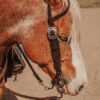 Rough Rider One Ear Headstall - view 3