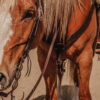 Rough Rider One Ear Headstall - view 8