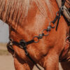 Twisted Iron - Black Iron - Metal Ring Breast Collar