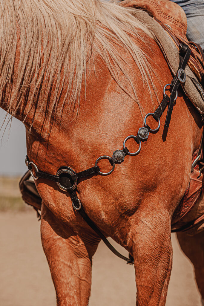 Metal Ring Headstall & Breast Collar Guide | Twisted Iron Tack 25 Twisted Iron - Black Iron - Metal Ring Breast Collar