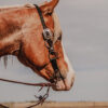 Black Iron One Ear Headstall - Black Leather Western Bridle - view 6