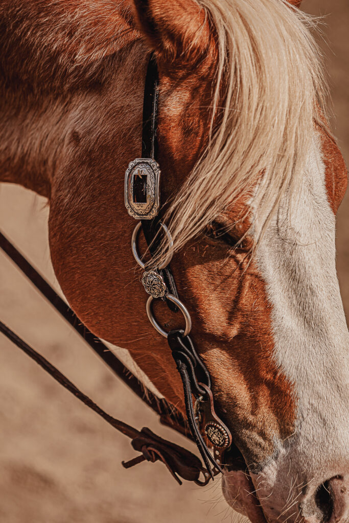 Metal-Ring Headstalls