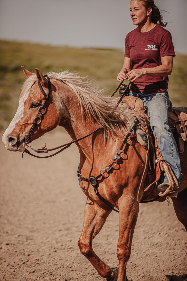Metal Ring Headstall & Breast Collar Guide | Twisted Iron Tack