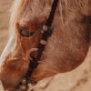 Twisted Iron - Copper Mesa One Ear Headstall with Rose Gold Metal Rings - view 4
