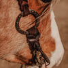 Twisted Iron - Silver Sage Metal Ring Browband Headstall - view 9