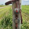 Twisted Iron - Gunmetal Antique Ring Browband Headstall - view 6