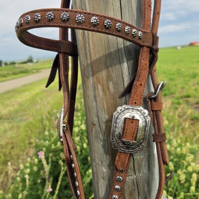 Outlaw Silver Concho Browband Headstall - view 2