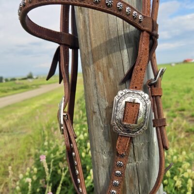 Outlaw Silver Concho Browband Headstall