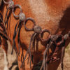 Twisted Iron - Argentina Gold Metal Ring Breast Collar - view 8