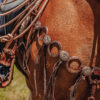 Twisted Iron - Argentina Gold Metal Ring Breast Collar - view 6