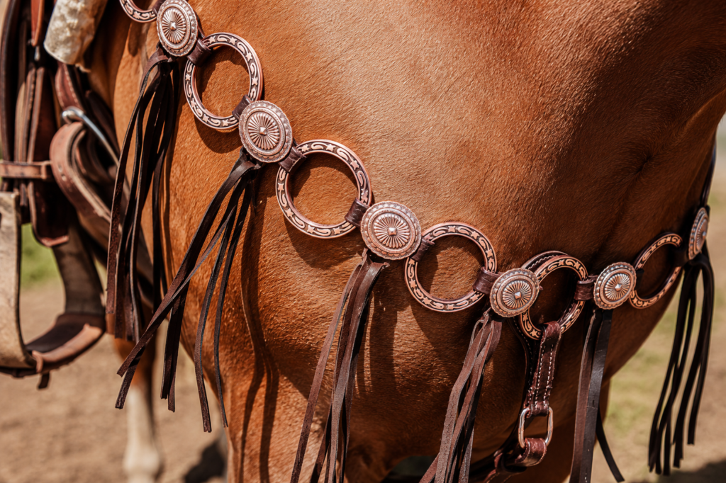 Metal Ring Headstall & Breast Collar Guide | Twisted Iron Tack 24 Twisted Iron - Argentina Gold Metal Ring Breast Collar