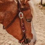 Apache Red - Beaded Browband Bridle