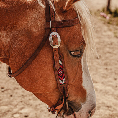 apache red beaded browband headstall western bridle ranch hand horse tack red beaded bridle breast collar (18)