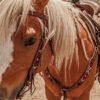 apache red beaded browband headstall western bridle ranch hand horse tack red beaded bridle breast collar (5)