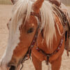 apache red beaded browband headstall western bridle ranch hand horse tack red beaded bridle breast collar (6)