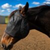 Fly Mask - No Ear Fly Mask with Forelock Protection, Raised Eye Clearance & Adjustable Velcro Fit - view 9
