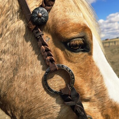 Twisted Iron - Silver Rose Metal Ring One Ear Headstall