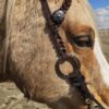 Twisted Iron - Silver Rose Metal Ring One Ear Headstall - view 7