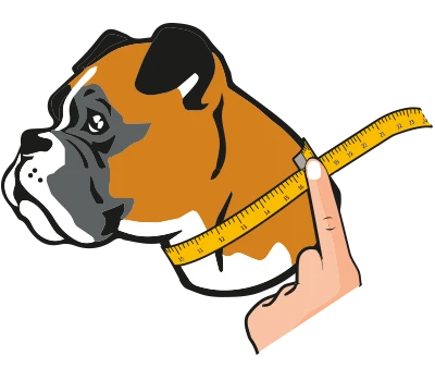 GoTags Dog Collar Sizing 480x480