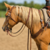 wither straps leather breast collar wither straps ranch hand leather straps (5)